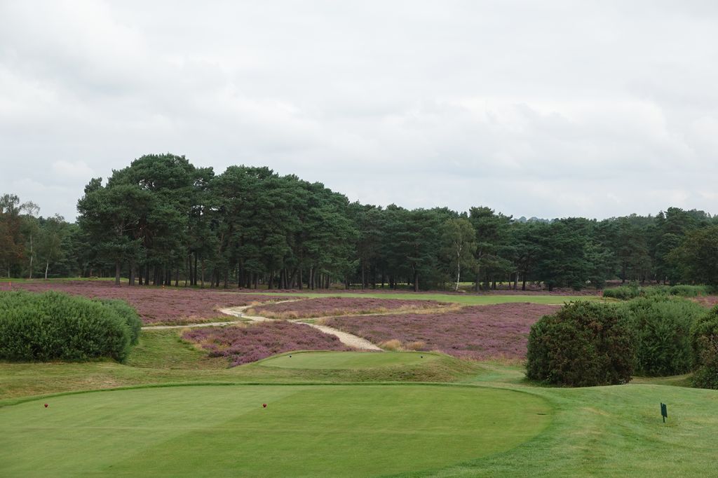 14th Hole at West Sussex Golf Club (456 Yard Par 4)